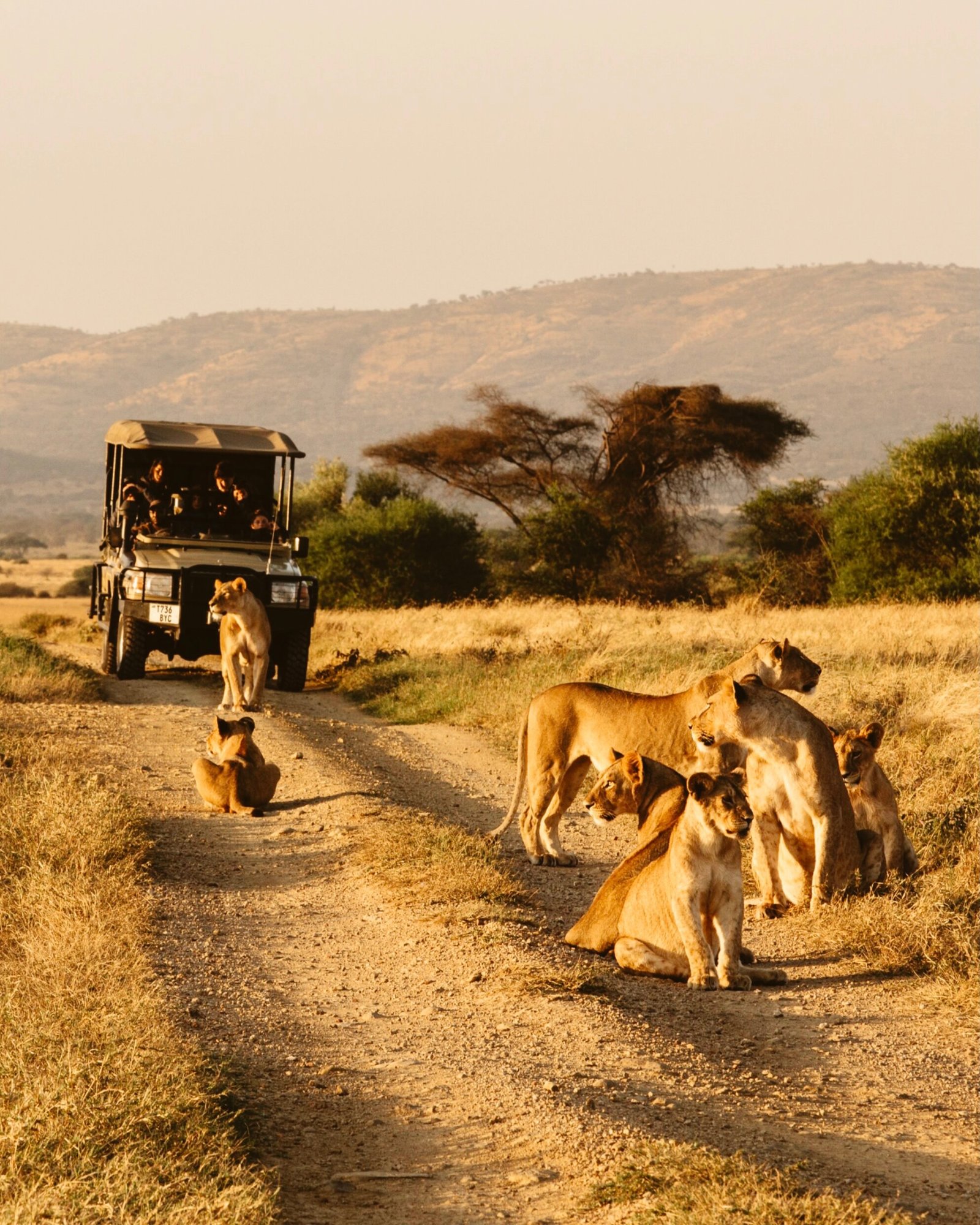 Edited in Tezza with: Lush, Exposure, Brightness, Contrast, & Saturation