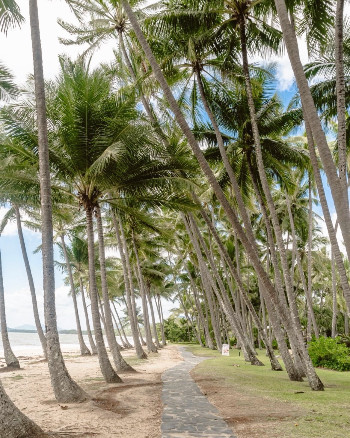 Edited in Tezza with: Lush, Brightness, Contrast, Temperature, & Saturation