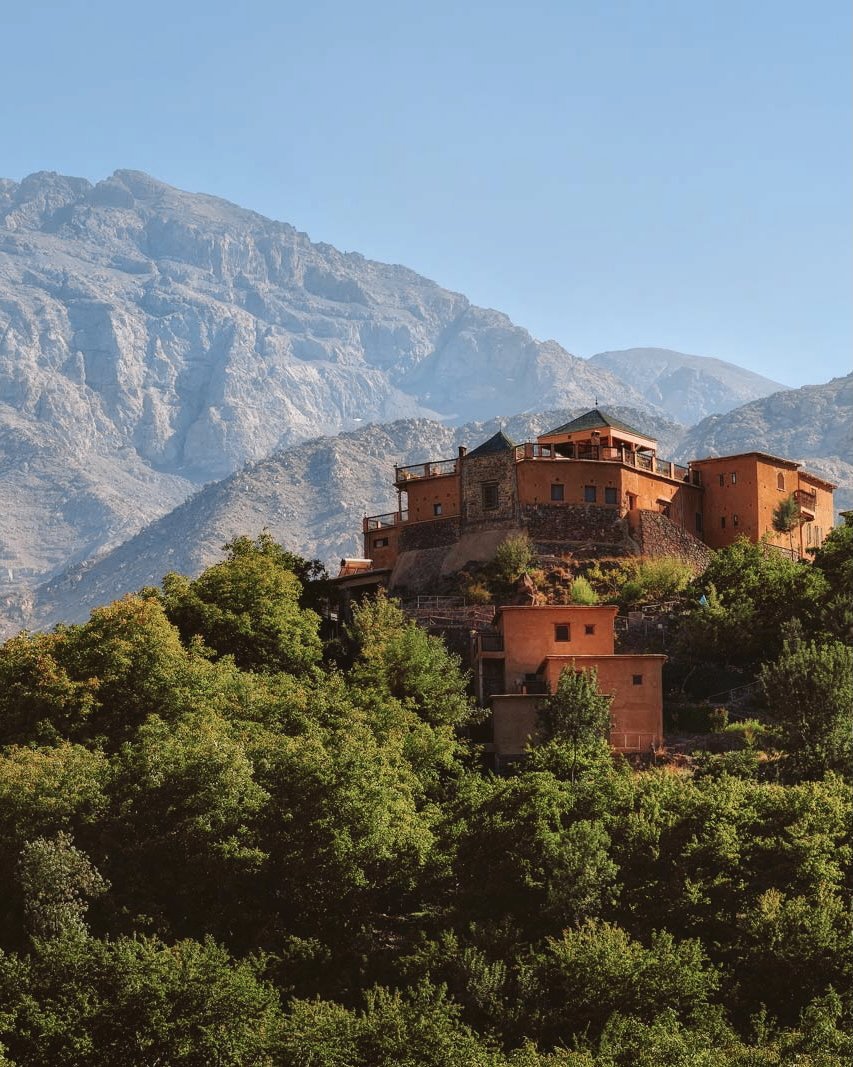 Edited in Tezza with: Lush & Saturation