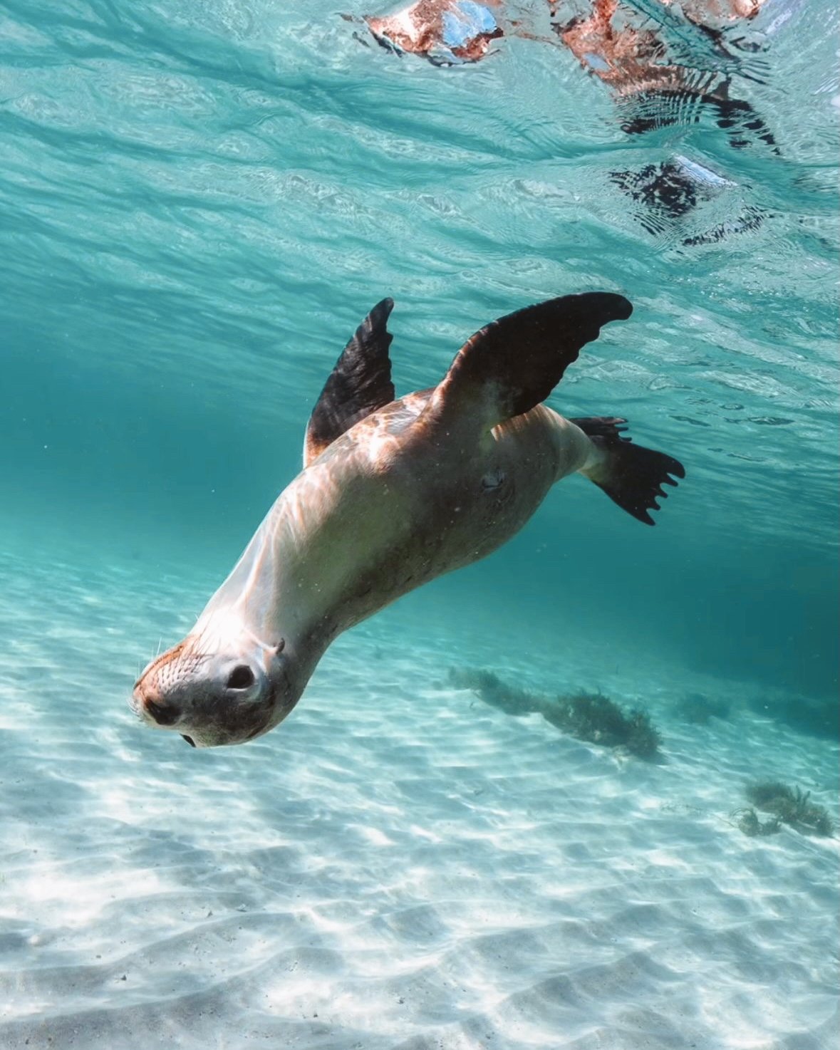 Edited in Tezza with: Lush