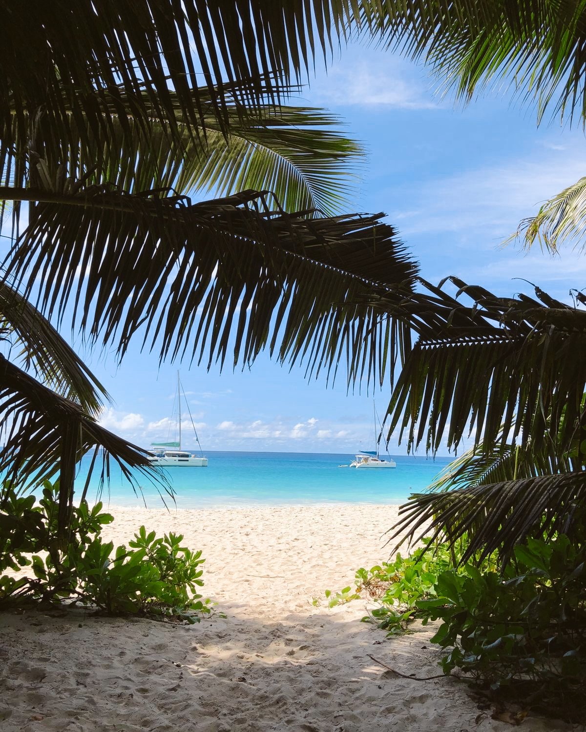 Edited in Tezza with: Lush & Saturation