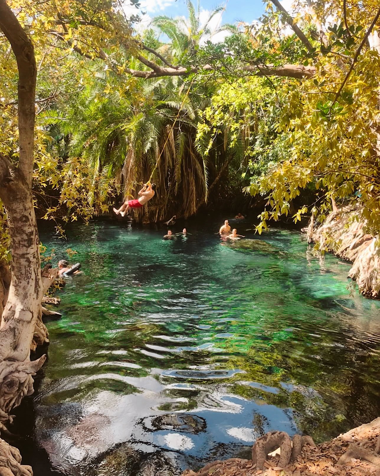 Edited in Tezza with: Lush, Temperature, Saturation, Sharpen, & HSL