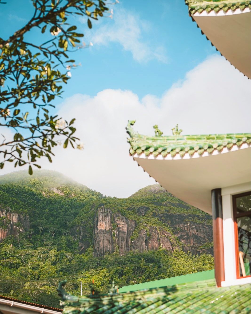 Edited in Tezza with: Lush & Saturation