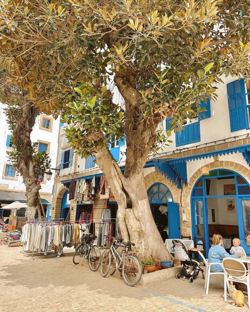 Edited in Tezza with: Lush