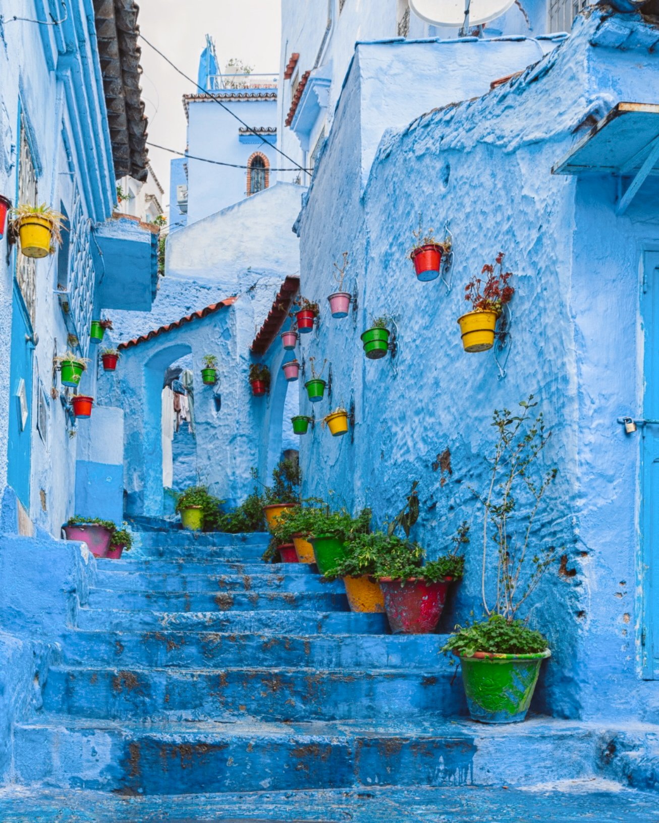 Edited in Tezza with: Lush, Saturation, & HSL