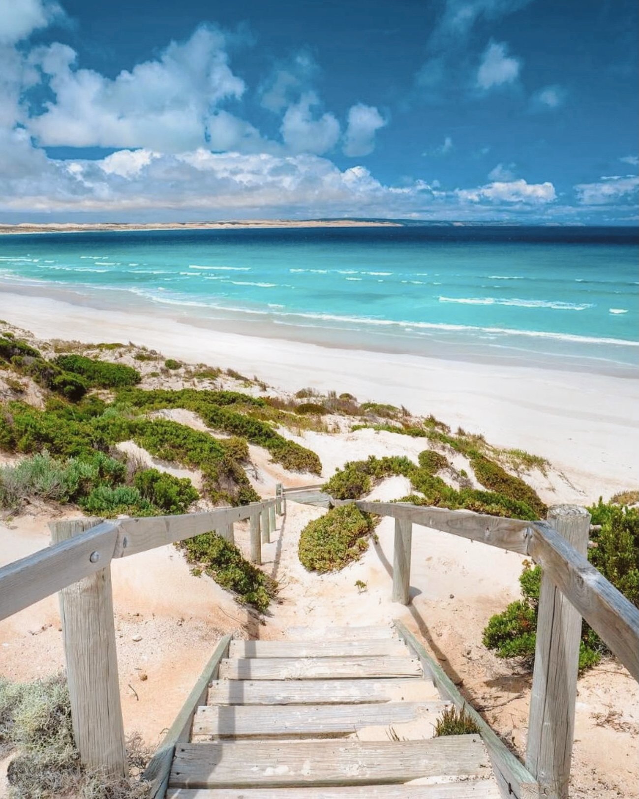 Edited in Tezza with: Lush, Brightness, Contrast, Saturation, & Temperature