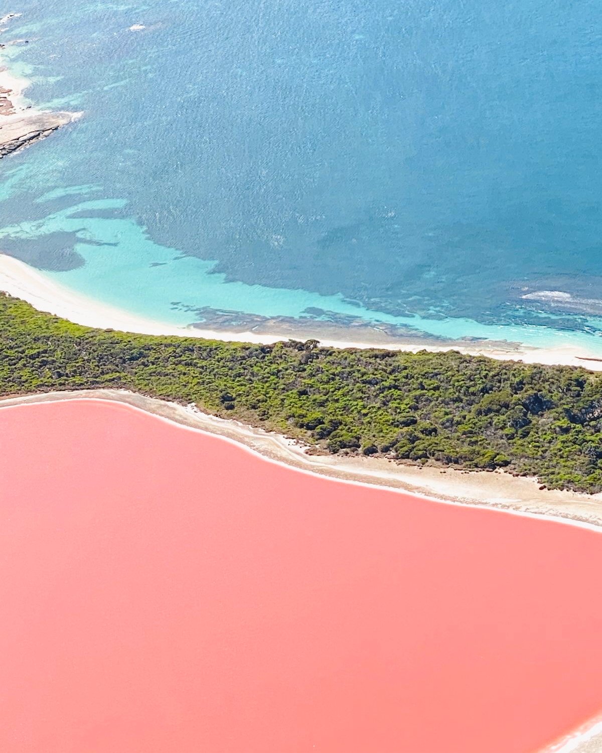 Edited in Tezza with: Lush, Contrast, Brightness, & Temperature