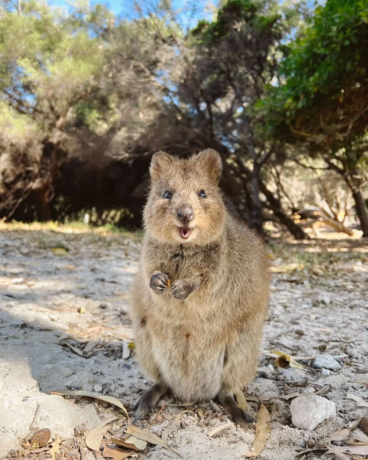 Edited in Tezza with: Lush