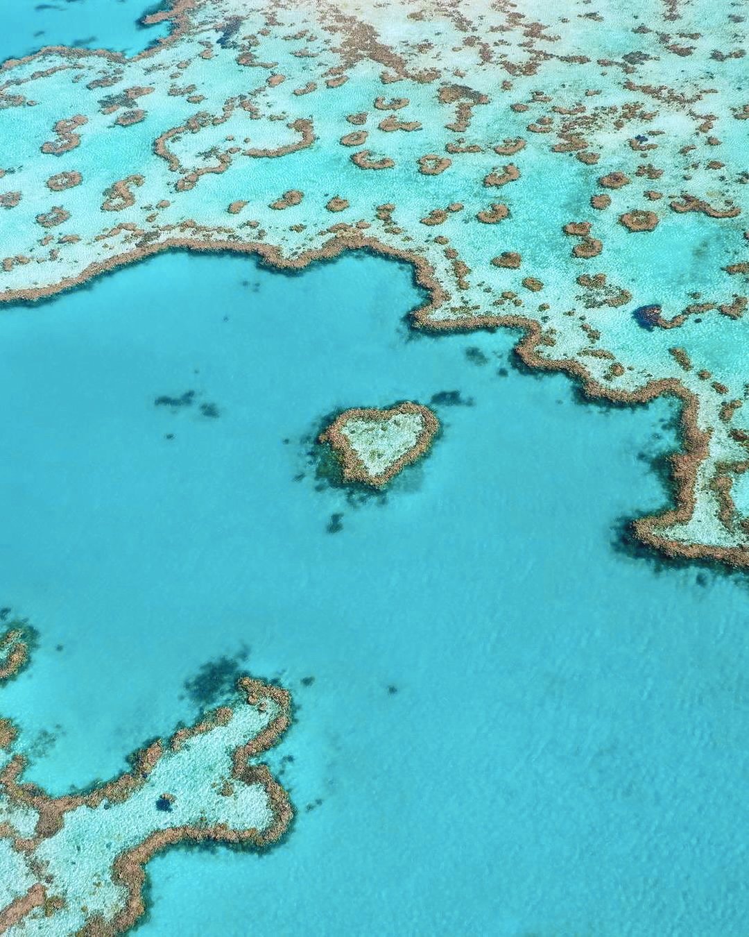 Edited in Tezza with: Lush, Contrast, Brightness, Temperature, & Saturation