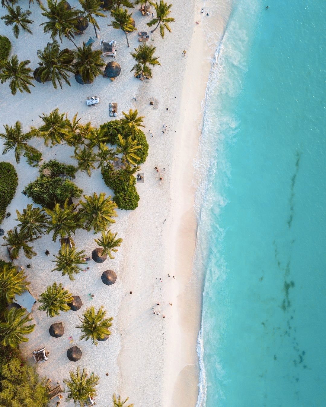 Edited in Tezza with: Lush