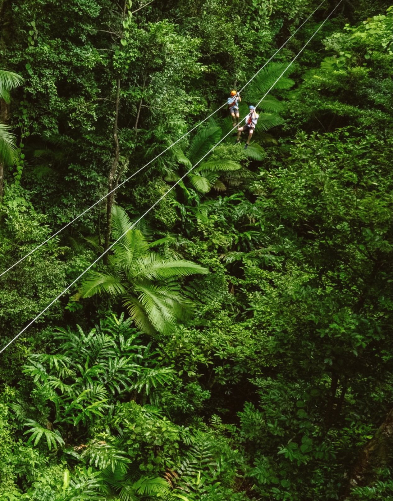 Edited in Tezza with: Lush, Brightness, Contrast, Temperature, & Saturation