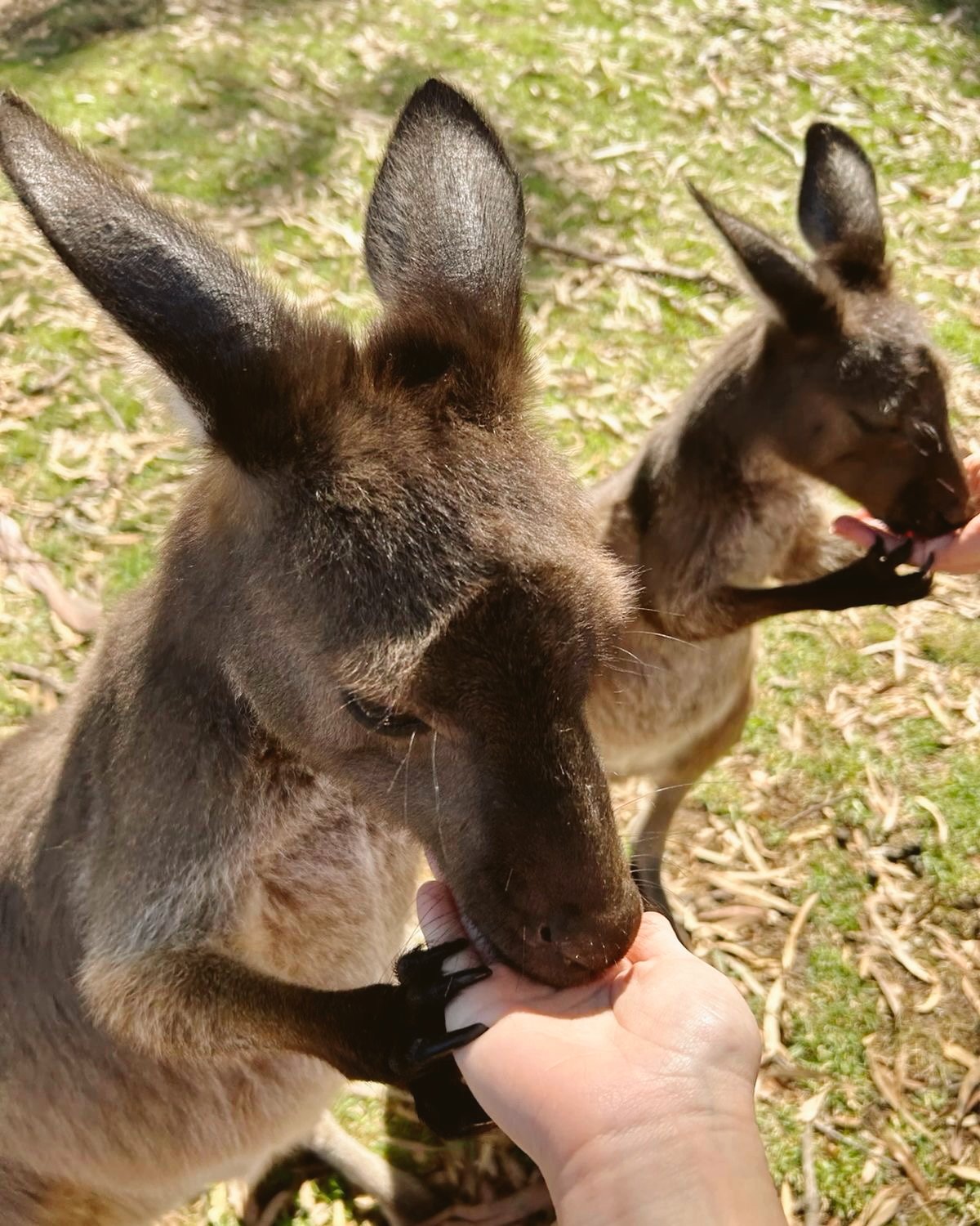 Edited in Tezza with: Lush