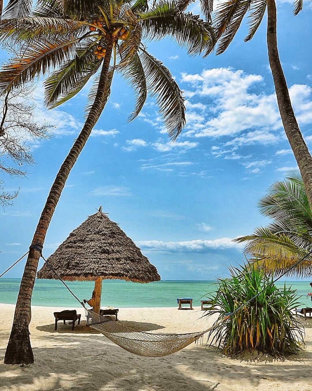 Edited in Tezza with: Lush & Sharpen