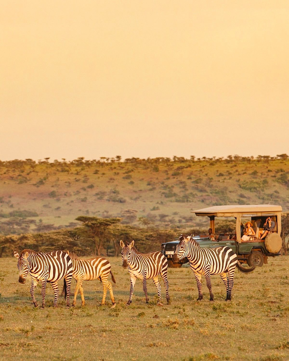 Edited in Tezza with: Lush, Brightness, Contrast, Saturation, & Sharpen