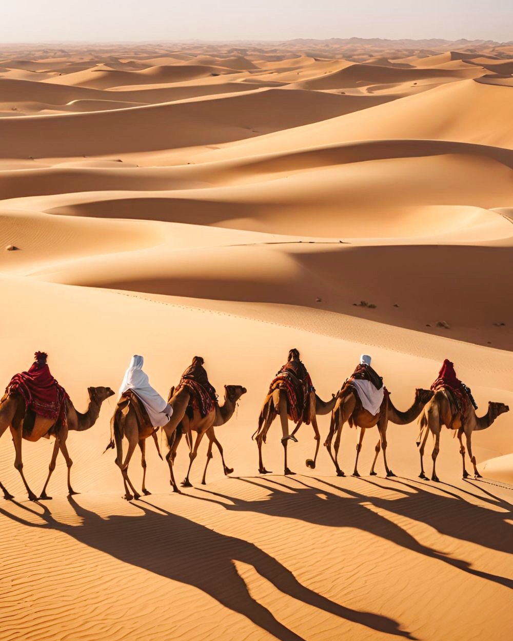 Edited in Tezza with: Lush