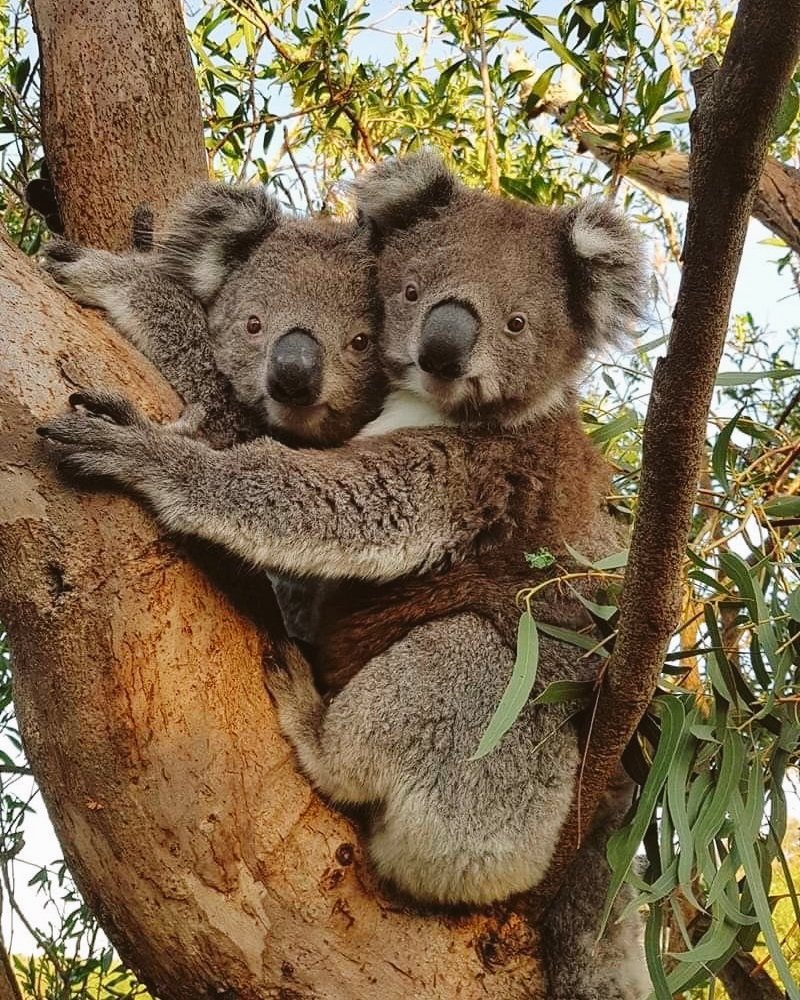 Edited in Tezza with: Lush