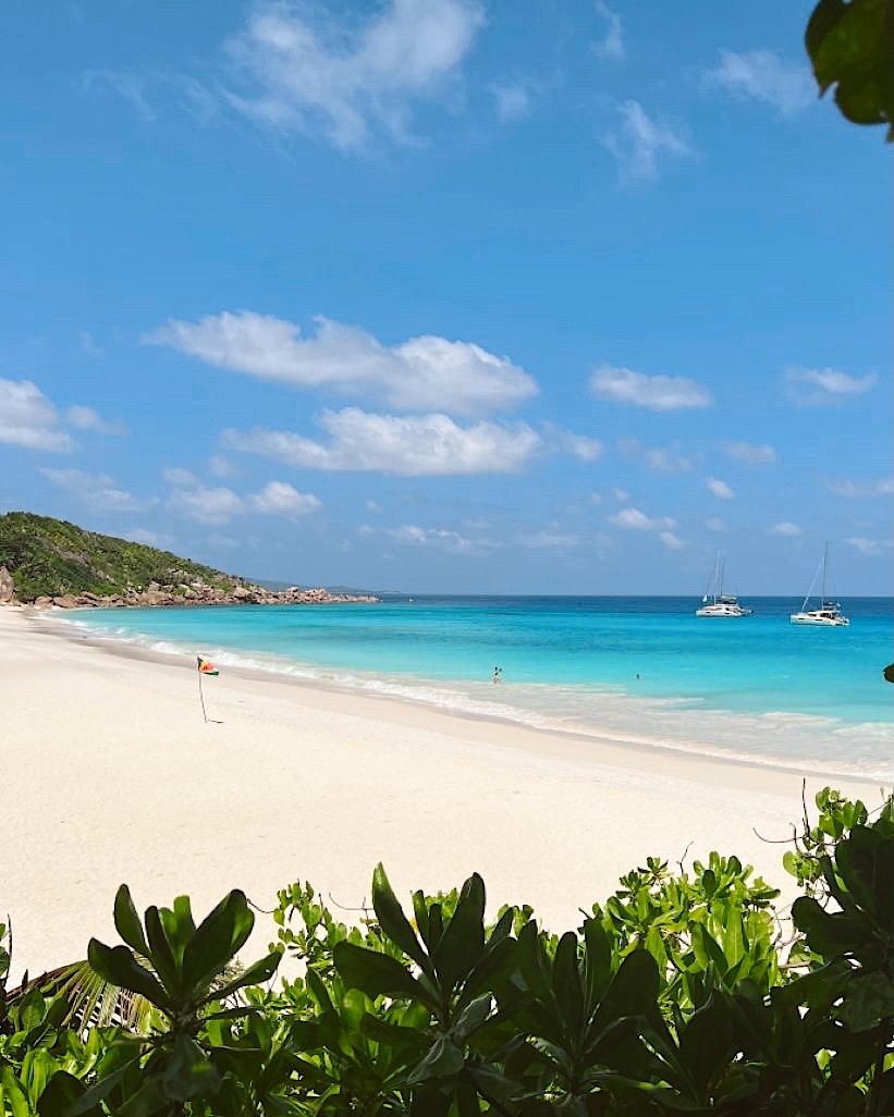 Edited in Tezza with: Lush, Saturation, Contrast, & Sharpen