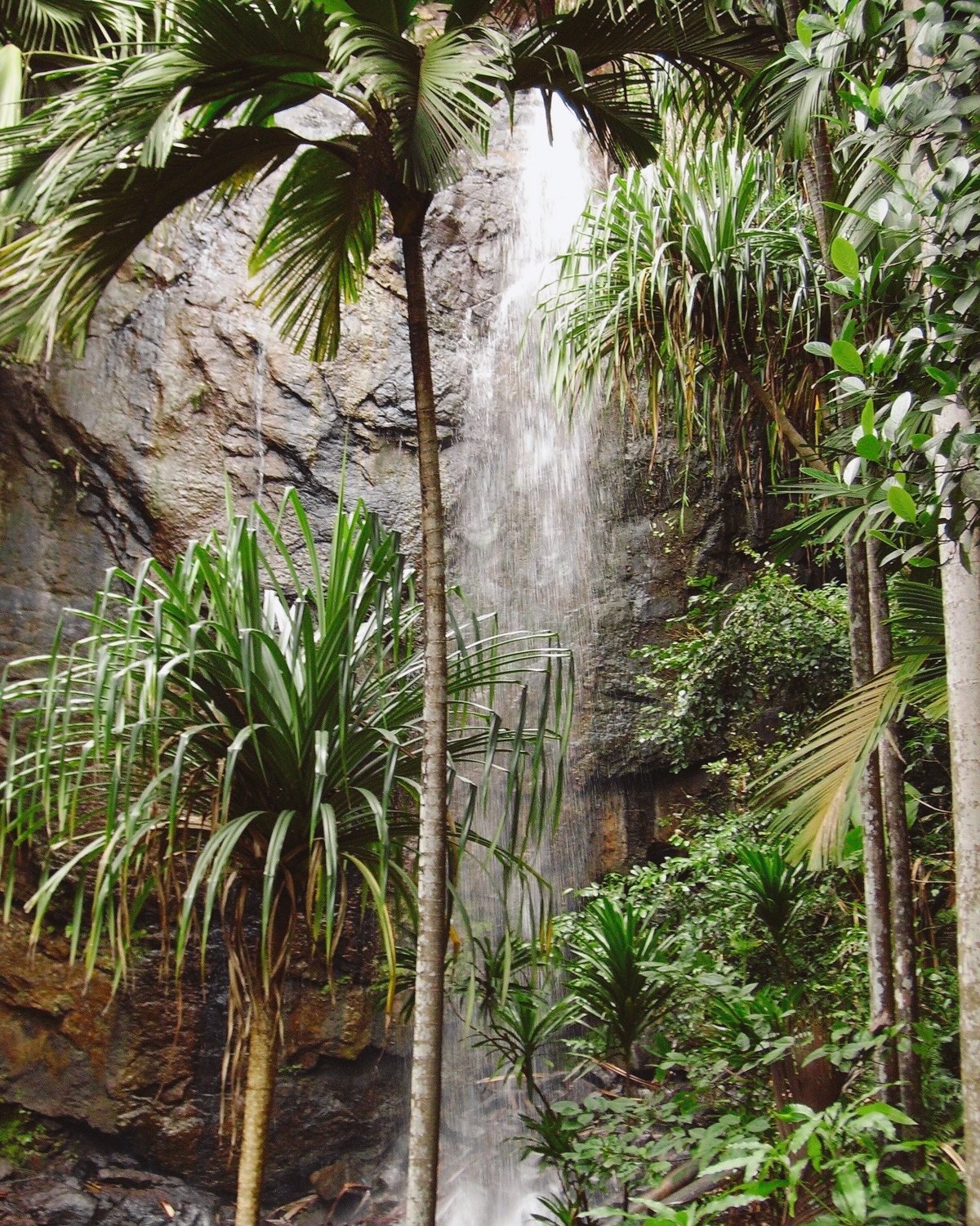 Edited in Tezza with: Lush