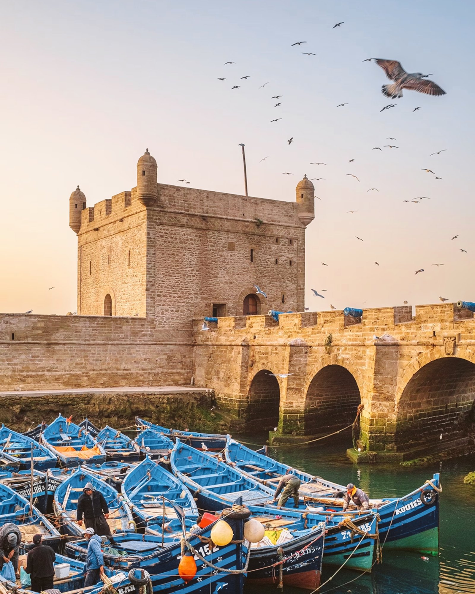 Edited in Tezza with: Lush