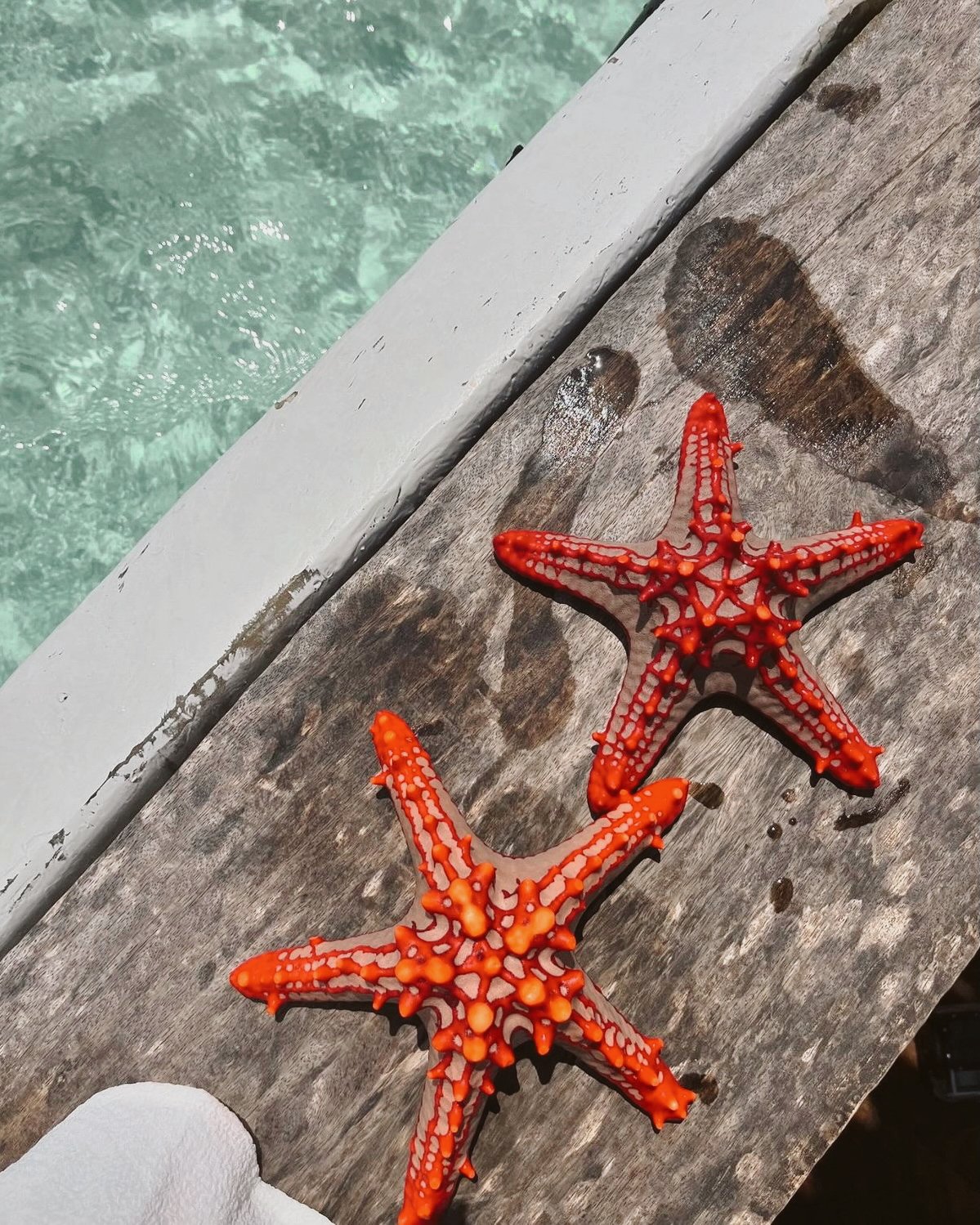 Edited in Tezza with: Lush, Contrast, Brightness, Exposure, Temperature, & HSL